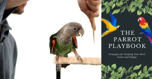The Parrot Playbook: Strategies for Keeping Your Bird Active and Happy