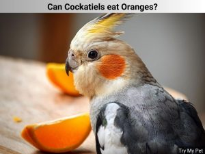 Oranges